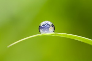 Image of the World in a Drop of Water
